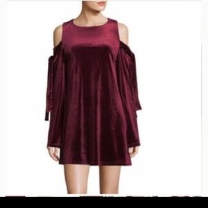 Free Generation Crushed Velvet Dress/Tunic
